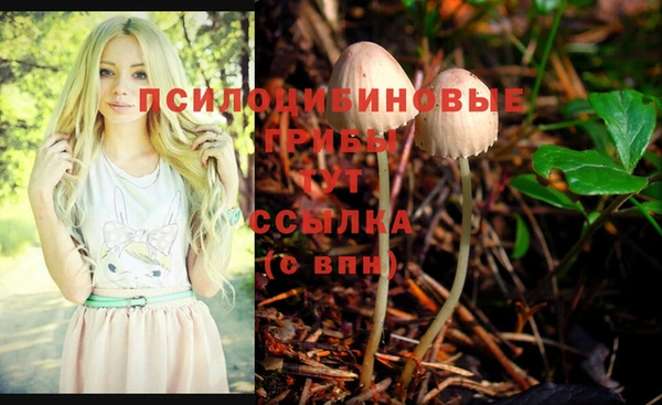 spice Верея