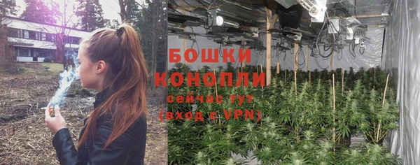 spice Верея