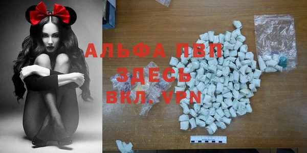 spice Верея