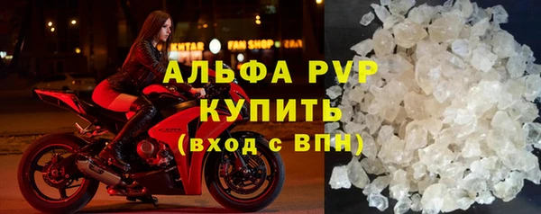 spice Верея